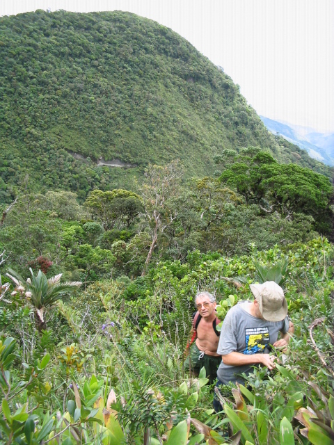 Foto da via Pico São Mateus
