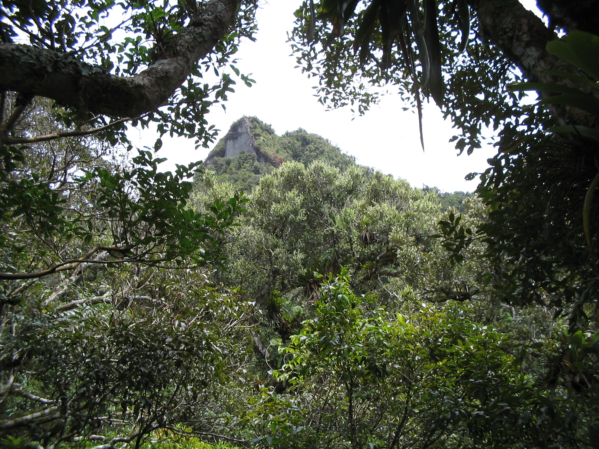 Foto da via Pedra da Periquita