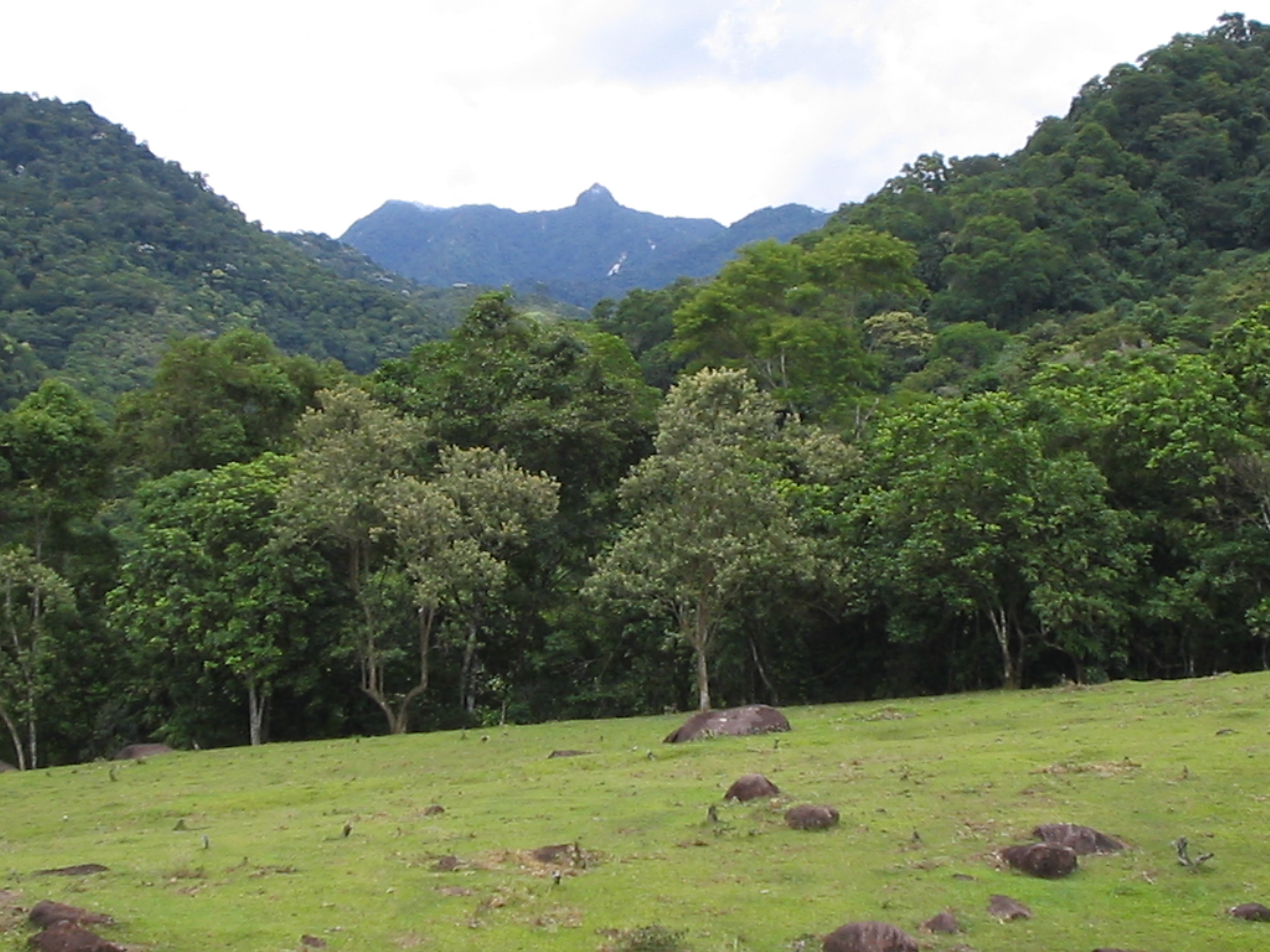 Foto da via Pedra da Periquita