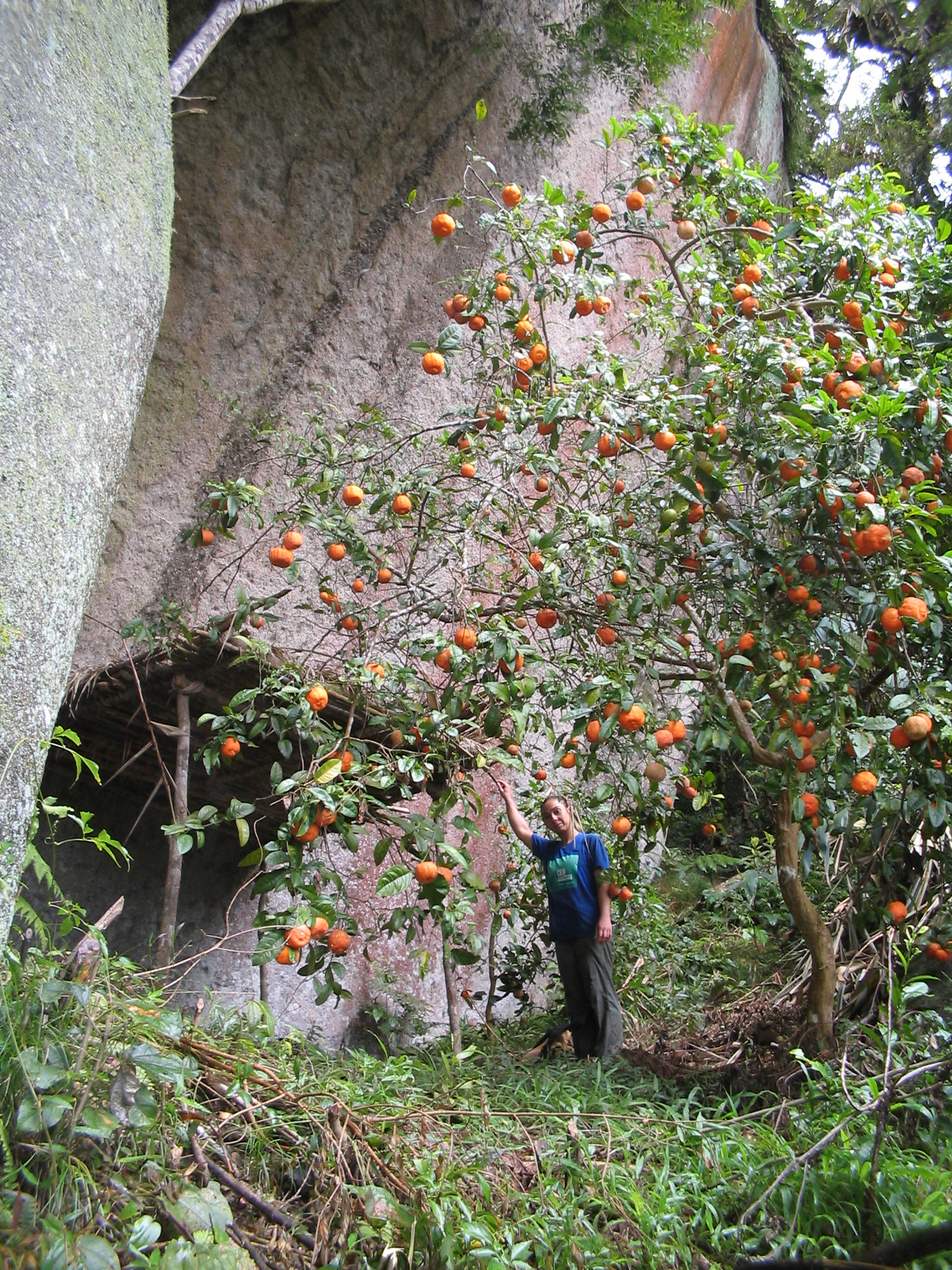 Foto da via Pedra da Periquita